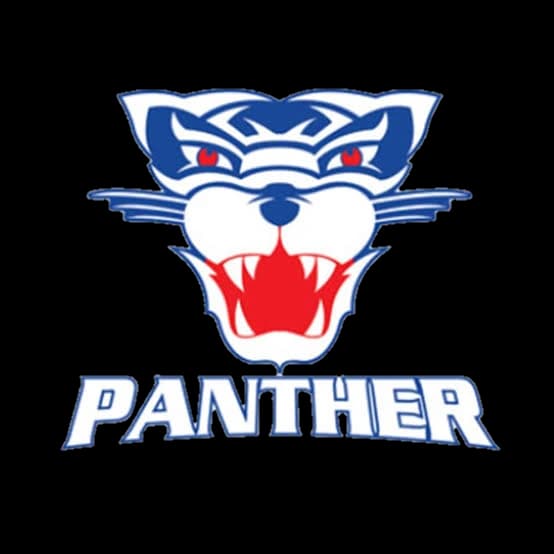 Logo Panther